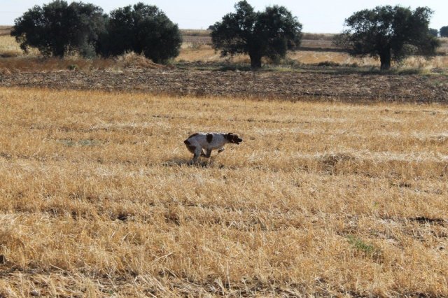 Αγωνες Α.Κ.Ι 11/6/2017